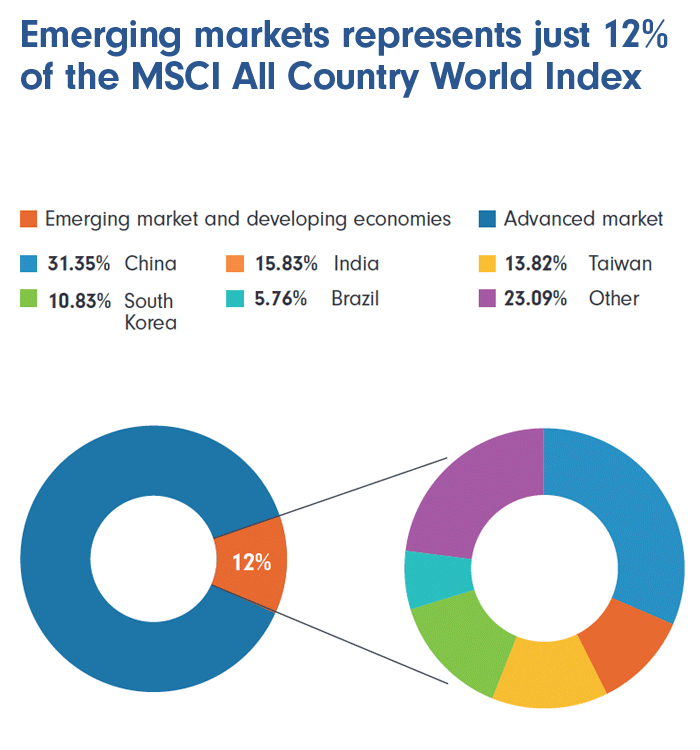 Fidelity Global Emerging Markets Fund | Info & Charts | Fidelity Australia