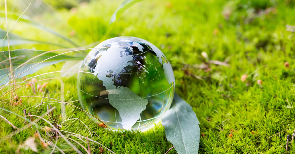 What is greenwashing and how can it be avoided? | Investment Insights ...